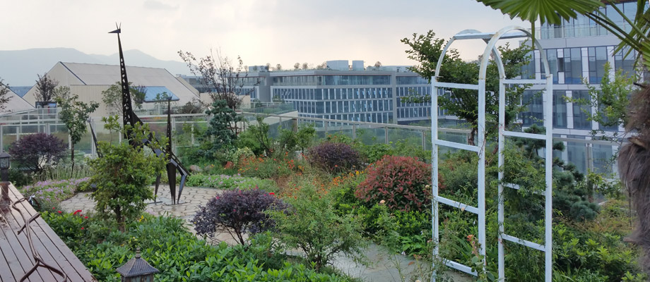 南京萬(wàn)通城市建設(shè)設(shè)計(jì)院弱電系統(tǒng)項(xiàng)目案例。